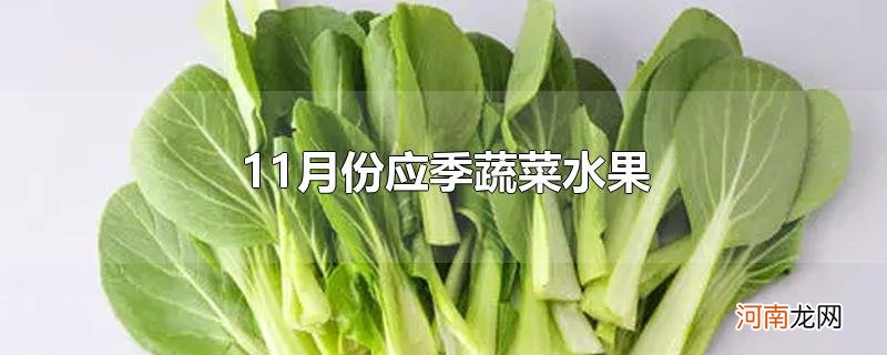 11月份应季蔬菜水果