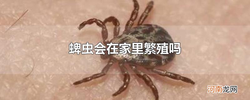 蜱虫会在家里繁殖吗