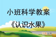 小班科学活动水果切切切教案反思