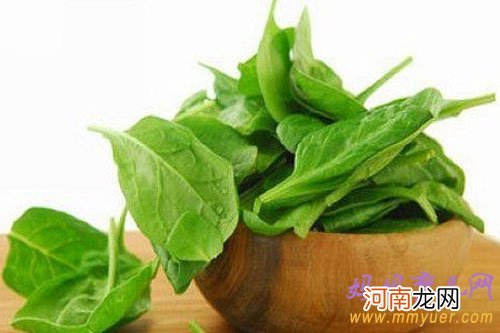 菠菜不宜与牛奶同吃 孕妇吃菠菜的正确食用方法