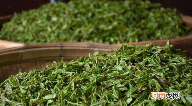 六大茶类的发酵程度及特点 全发酵茶有哪些品种