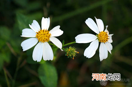 不想落下月子病？聪明妈妈都是这么坐月子的！