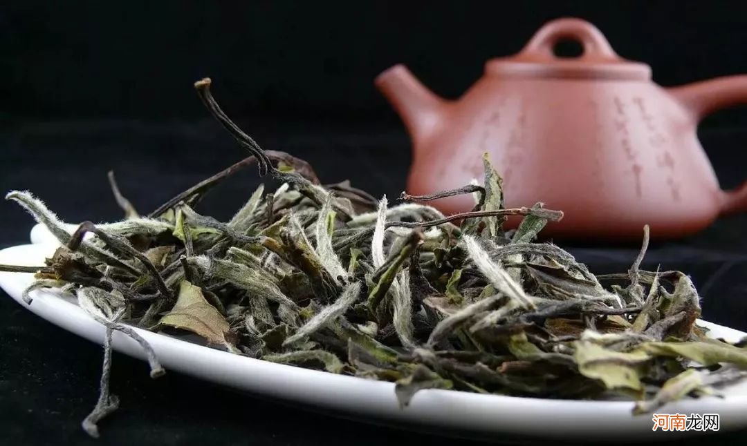 关于白茶的4种说法 什么是白茶