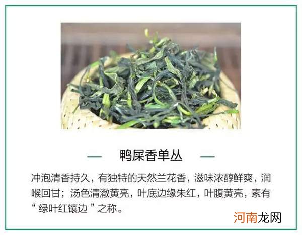 一篇文章读懂乌龙茶 乌龙茶产地和品种以及分类