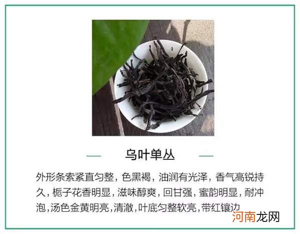 一篇文章读懂乌龙茶 乌龙茶产地和品种以及分类
