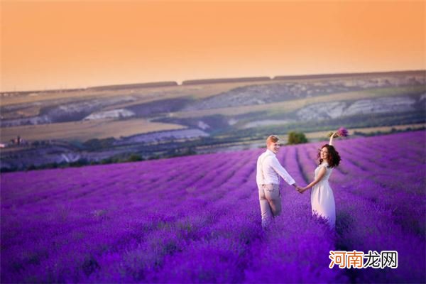 马蜂窝在卧室窗户的寓意 马蜂在窗户角筑巢风水