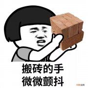 什么是不读书的出路 其他不读书的出路？