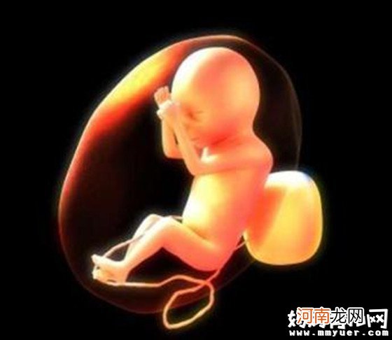 胎儿停止发育的症状 孕妈必知的关键点