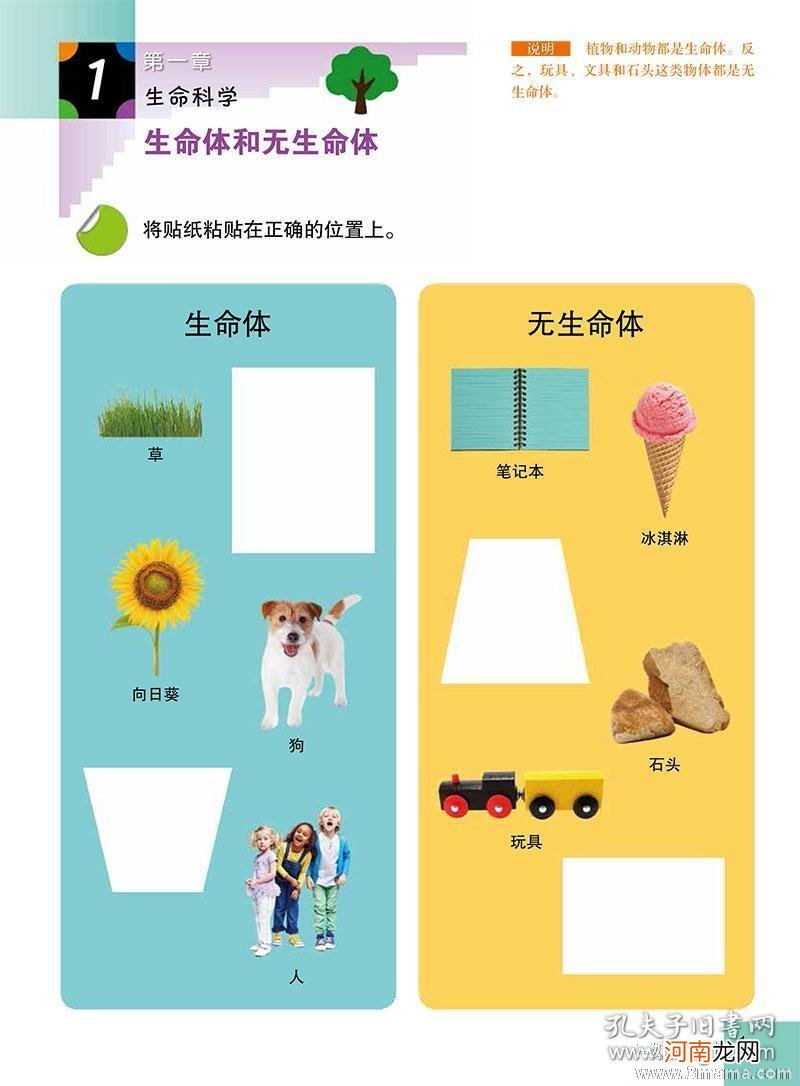 宝宝的数学能力发展游戏