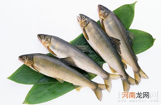 孕妇必吃的12种食物，你真的吃对了吗？