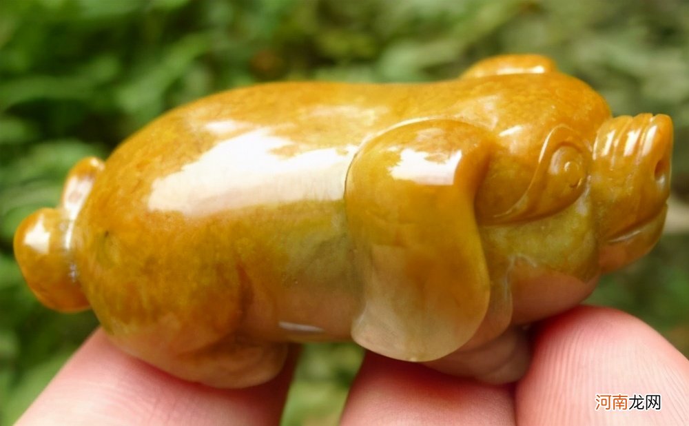 黄龙玉和翡翠的区别在哪里