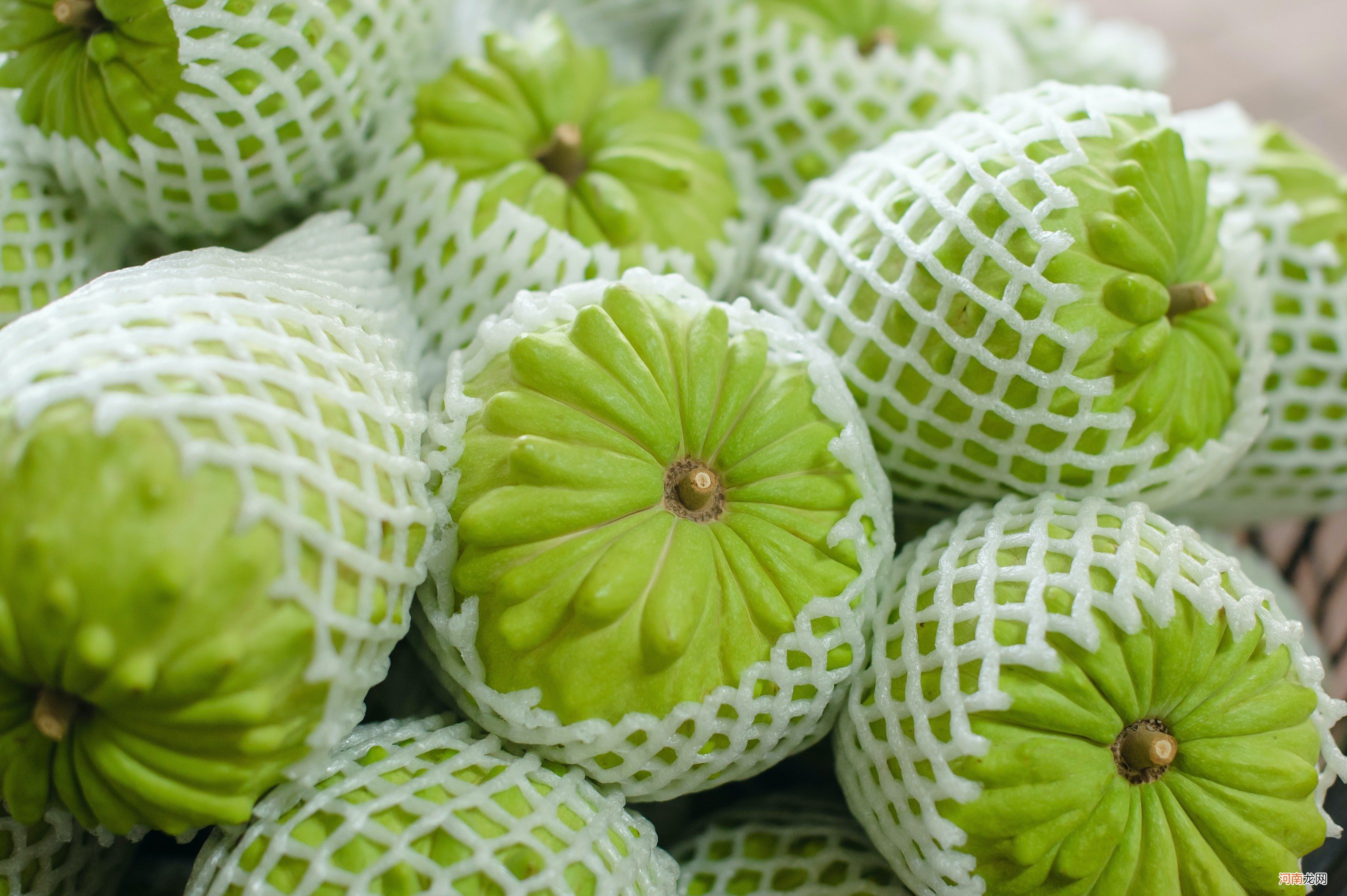 释迦牟尼的8种健康益处是什么?