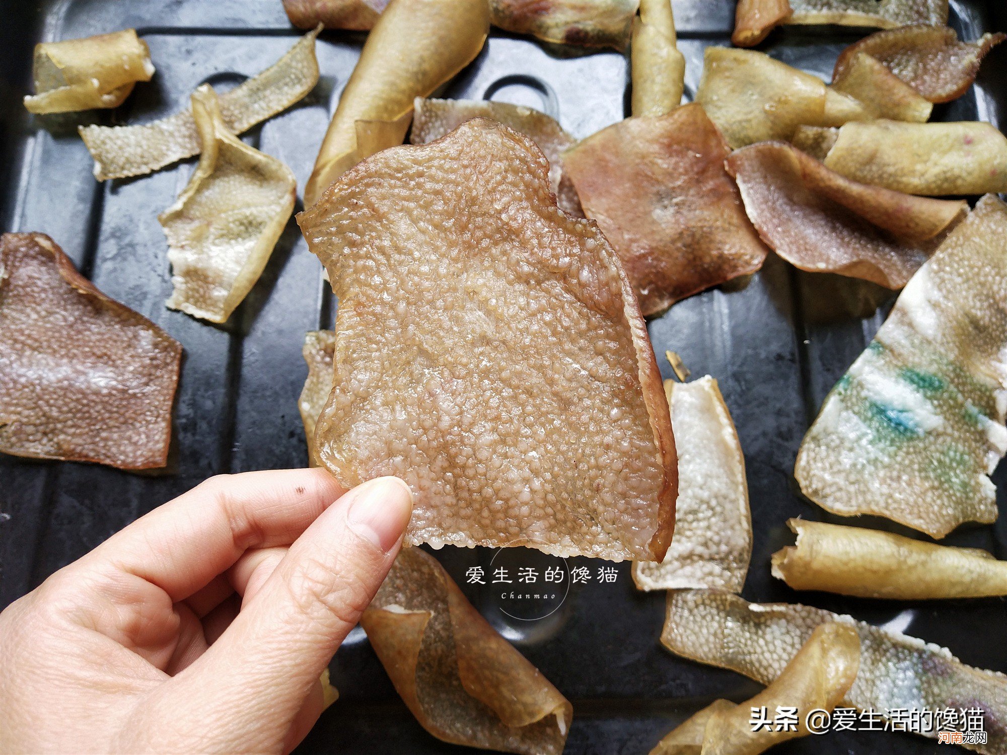 吃不下的猪皮不要扔 猪皮不能吃