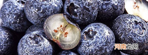 减肥能吃蓝莓吗 减肥期间可以吃蓝莓吗?