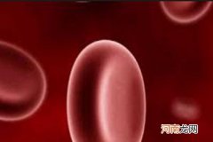 【b型血和o型血后代】o型血和b型血的子女是什么型