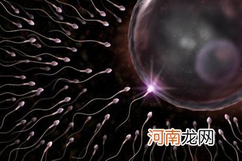 精子存活时间;男人的精子在女人体内能存活多久