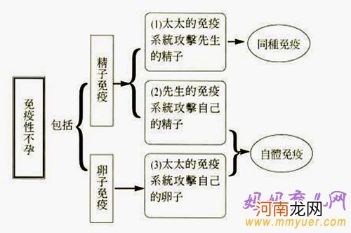 免疫功能性不孕的特征以及治疗方法