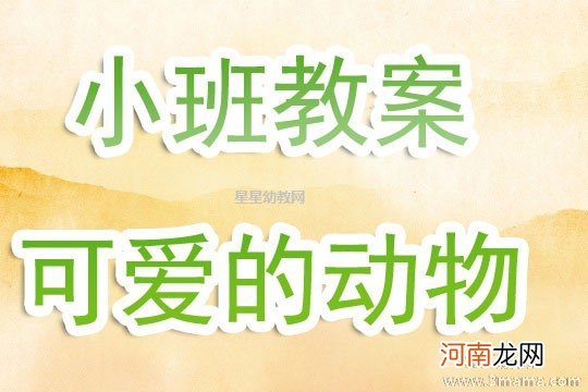 小班语言可爱的小动物教案反思