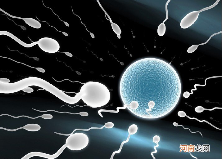 多少精子可以怀孕 怎样提高精子质量