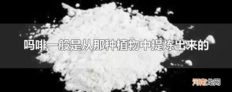 吗啡一般是从那种植物中提炼出来的