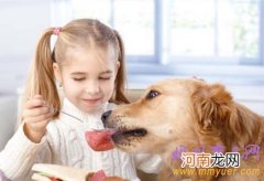 家里养狗可降低儿童哮喘风险