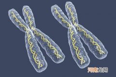 染色体异常怎么办 染色体异常还可以要宝宝吗