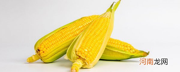 玉米减肥吗? 玉米可以减肥还是增肥