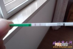 排卵试纸强阳后多久排卵排卵试纸强阳后多久aa成功率高？