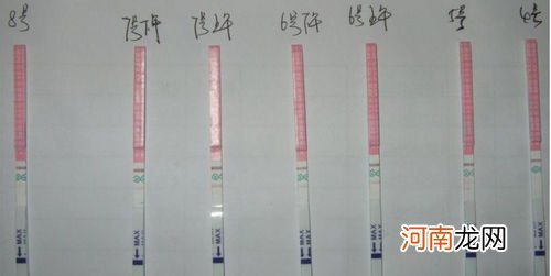 排卵试纸怎么使用 排卵试纸的使用方法和图片对