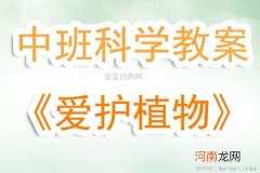 附教学反思 中班科学活动教案：爱护植物教案