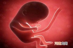 胎儿如何在子宫内排泄 吃饭者慎进
