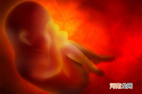 胎儿停止发育的原因 如何防止胎儿停育？