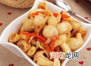 白玉菇的营养价值及营养成分 白玉菇的功能和作用
