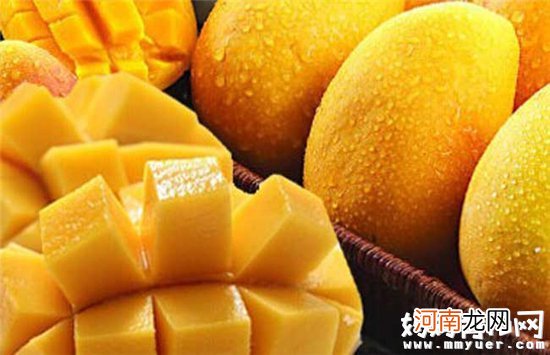 孕妇能够吃芒果吗 孕妇吃芒果的禁忌有哪些