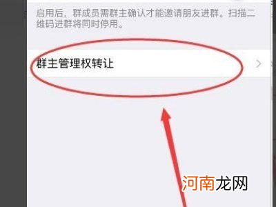 微信群怎样更换群主优质