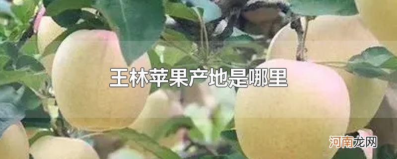 王林苹果产地是哪里