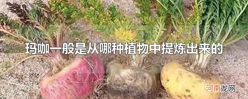 玛咖一般是从哪种植物中提炼出来的