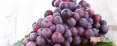 葡萄品种有哪些 葡萄有哪些品种