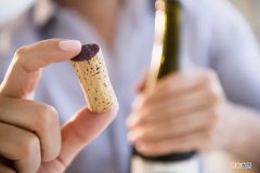 如何保存剩余的葡萄酒 如何保存剩余的葡萄酒