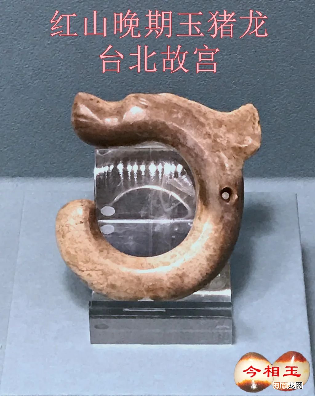 真品红山玉猪龙的鉴别及图片