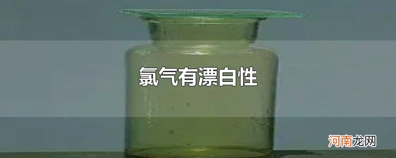 氯气有漂白性