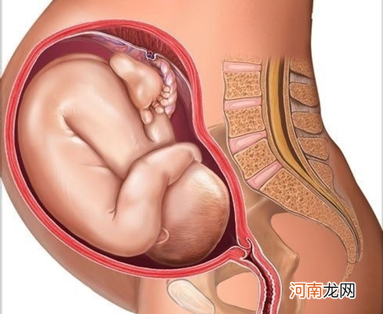 怀孕1一9月胎位变化图 纯高清组图把我都看呆了