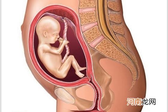 怀孕1一9月胎位变化图 纯高清组图把我都看呆了