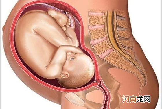 怀孕1一9月胎位变化图 纯高清组图把我都看呆了