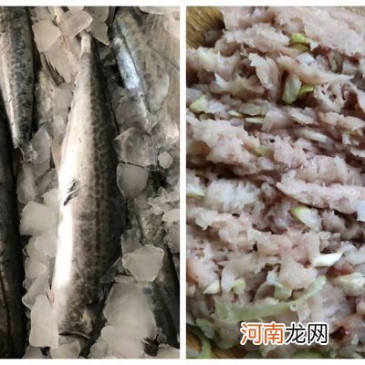 包含煎饺做法，馅料调法 家常饺子的做法和配方