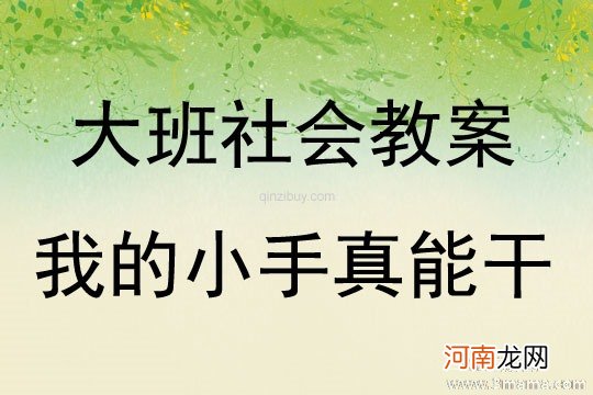 附教学反思 中班社会活动教案：能干的小手教案