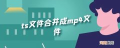 ts文件合并成mp4文件优质