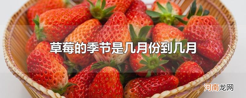 草莓的季节是几月份到几月
