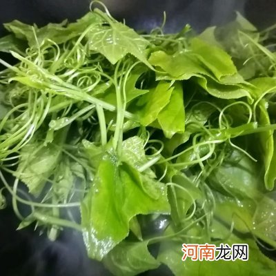 清炒龙须菜 龙芽菜怎么做好吃