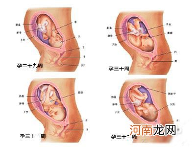 【怀孕30周】怀孕30周胎儿图 30周吃什么应注意什么事项